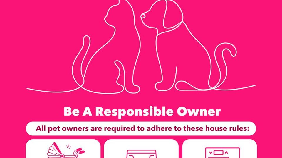 Gurney Paragon Pet-Friendly Tuesdays and Wednesdays poster listing the house rules for pet owners