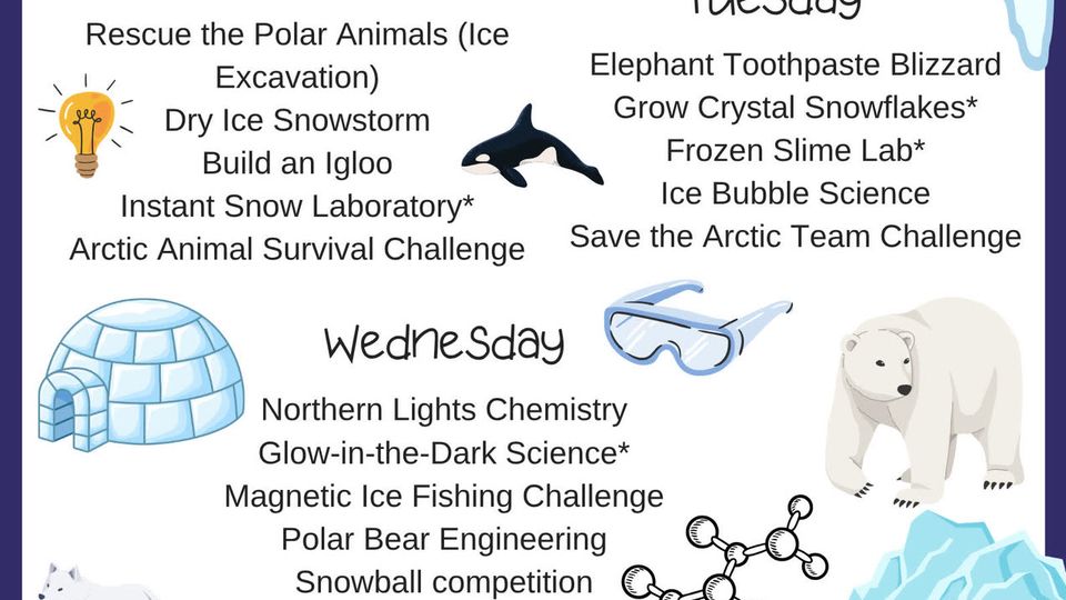 Newtonshow Science from the North Pole winter camp leaflet